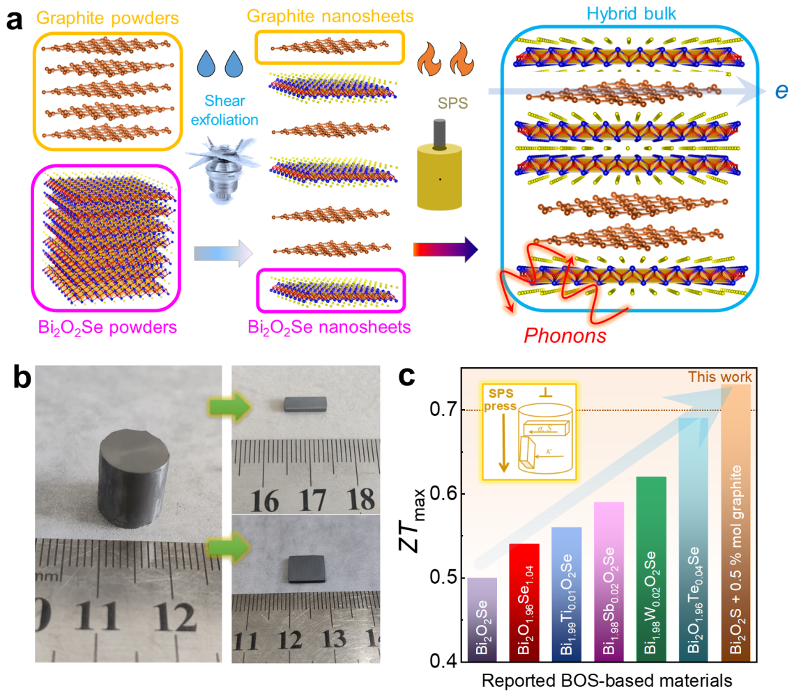 《Advanced Functional Materials》发表王一峰教授课题组研究论文